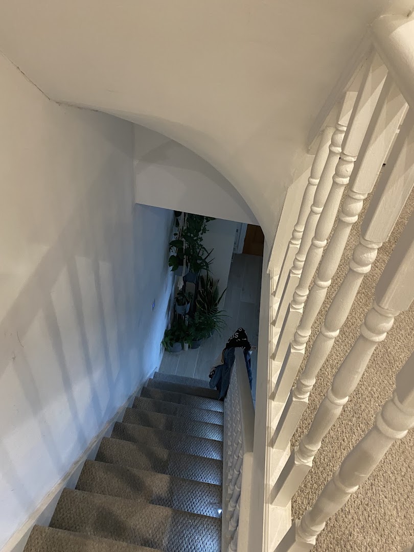 Painter - Tudor Buildis — Photos 10